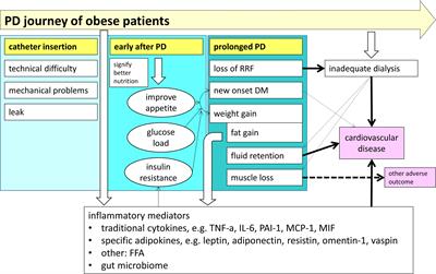 Obesity, Weight Gain, and Fluid Overload in Peritoneal Dialysis